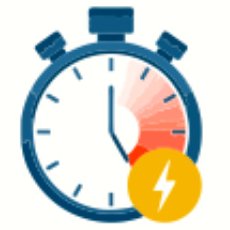 Fast Delivery within 24H*